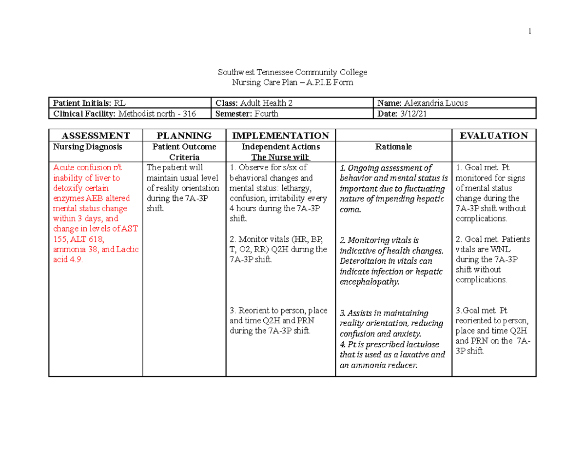 3-12 APIE - clinical - Southwest Tennessee Community College Nursing ...