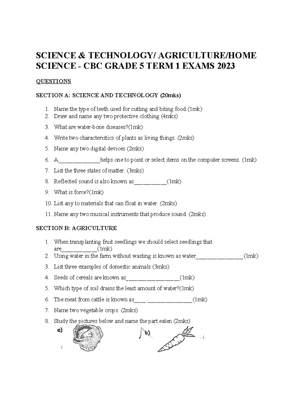 Science Year 5 Questions
