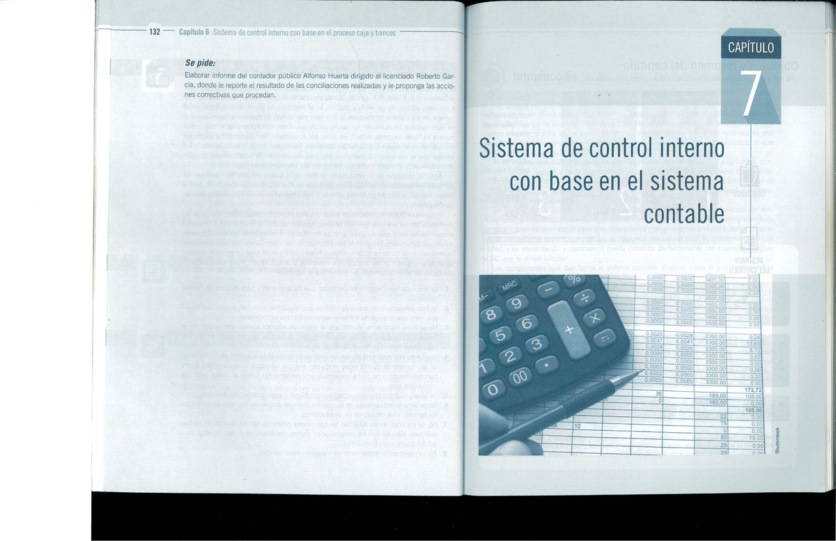 132 Informe sobre el Sistema de Control Interno en Caja y Bancos ...
