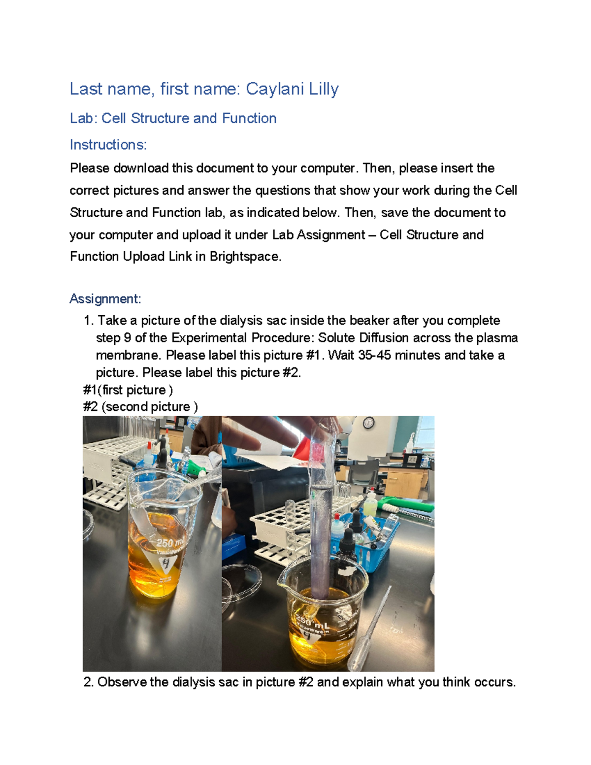 Cell structure - Then, please insert the correct pictures and answer ...