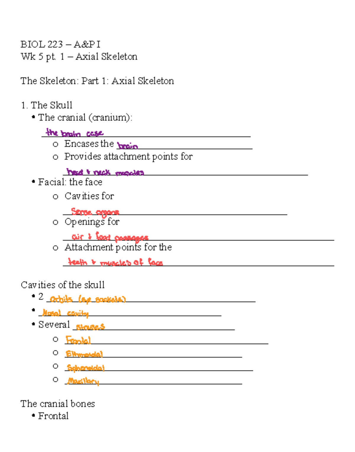 Final Exam Study Guide for CS101: Key Concepts and Practice Questions ...