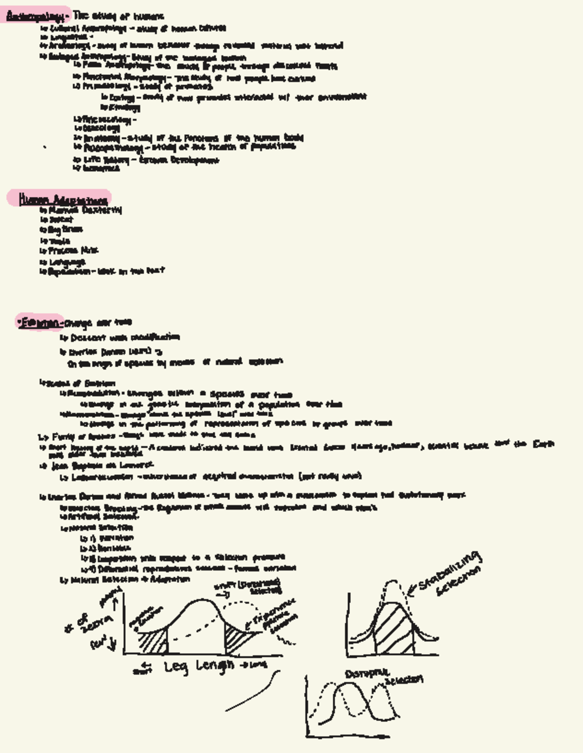 Anthro 101: Comprehensive Notes on Human Evolution and Culture - Studocu