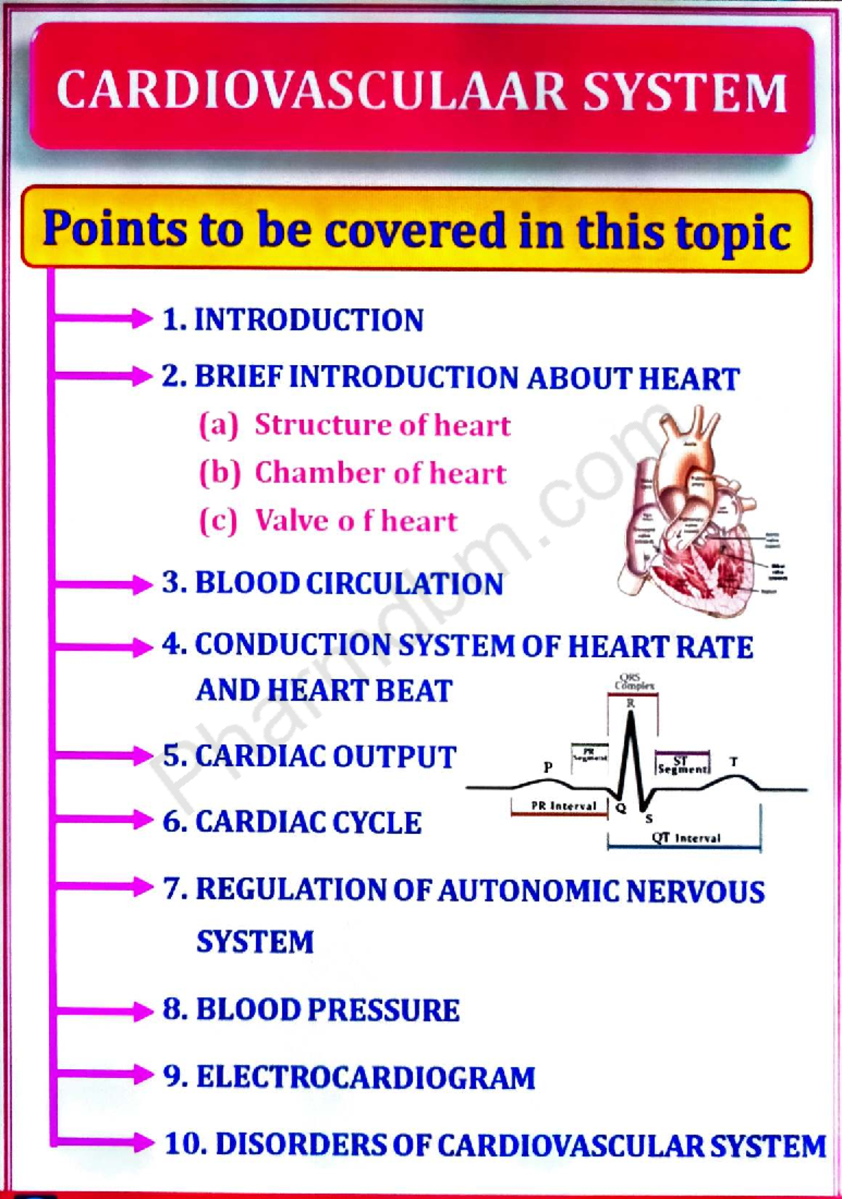HAP-Unit-5: Cardiovascular System Overview and Key Concepts - Studocu