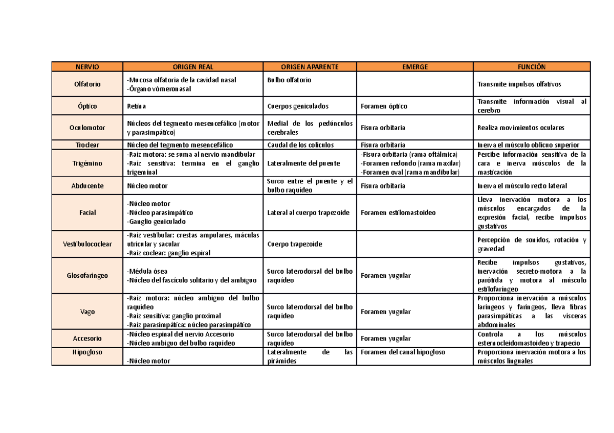 Tarea: Pares craneales - Document Preview