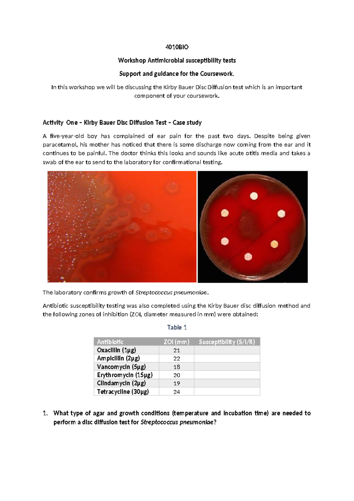 4010BIO Week 7 Workshop: Antimicrobial Susceptibility Testing Guide ...