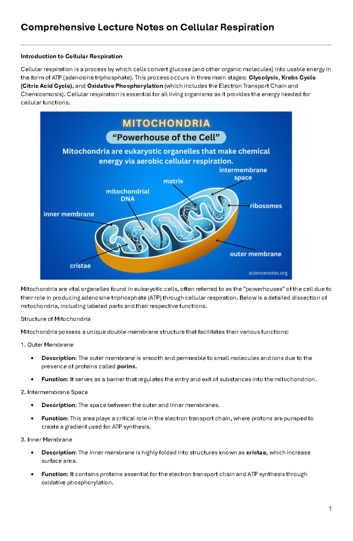 Cellular- Respiration - Comprehensive Lecture Notes on Cellular ...