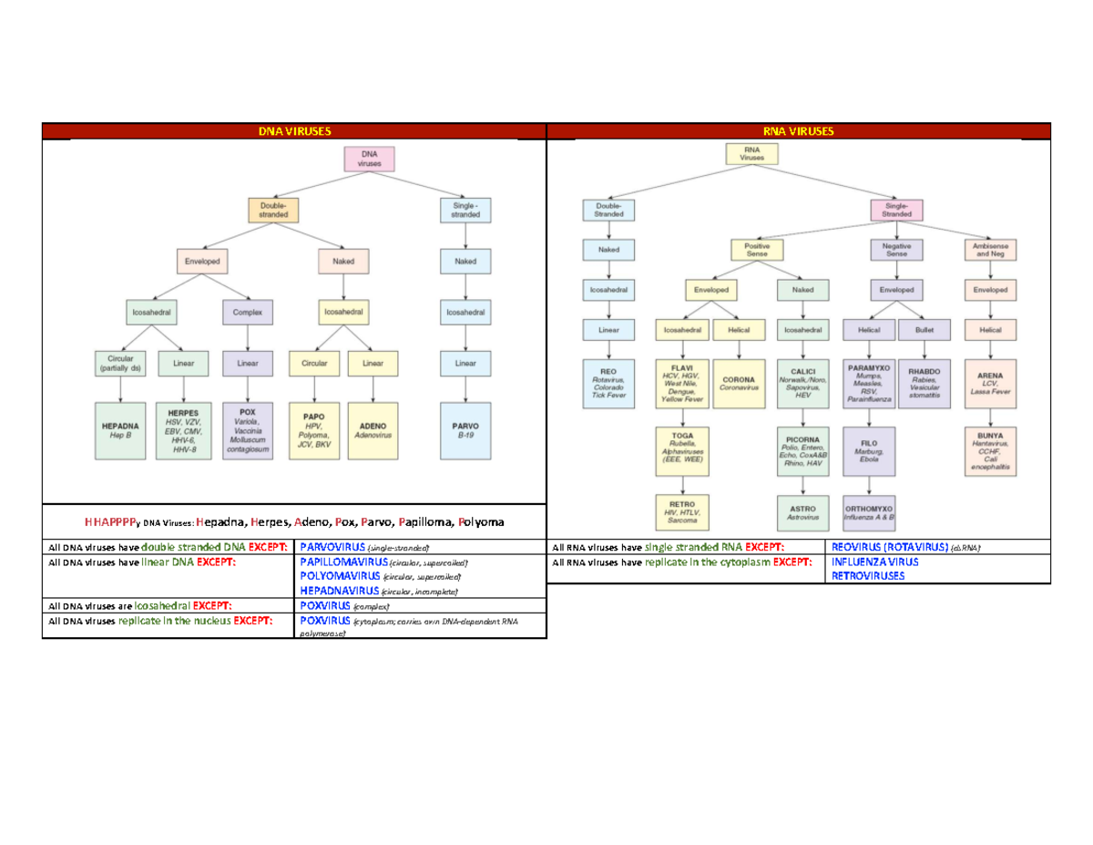 DNA and RNA Viruses: Overview of Key Characteristics and Pathogenesis ...