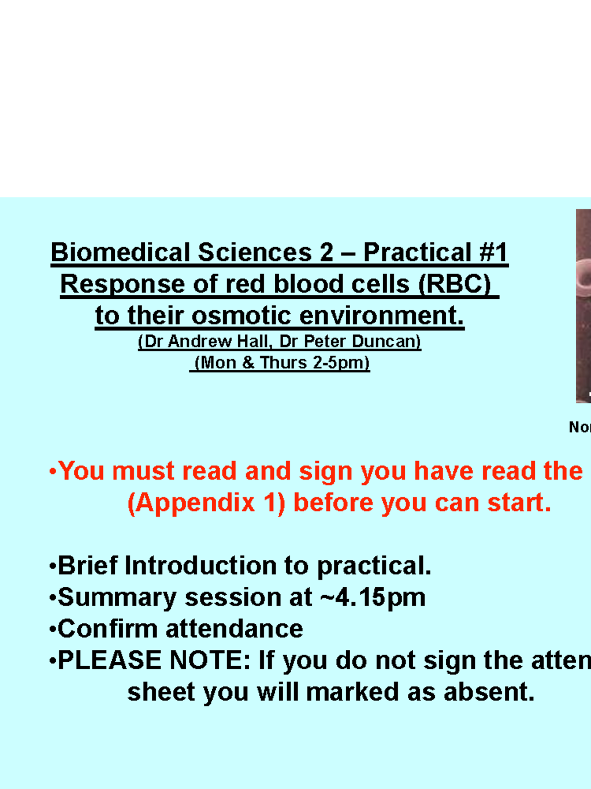 Power Point Presentation - BMS2 Blood Practical Oct 2024-2 - Biomedical ...