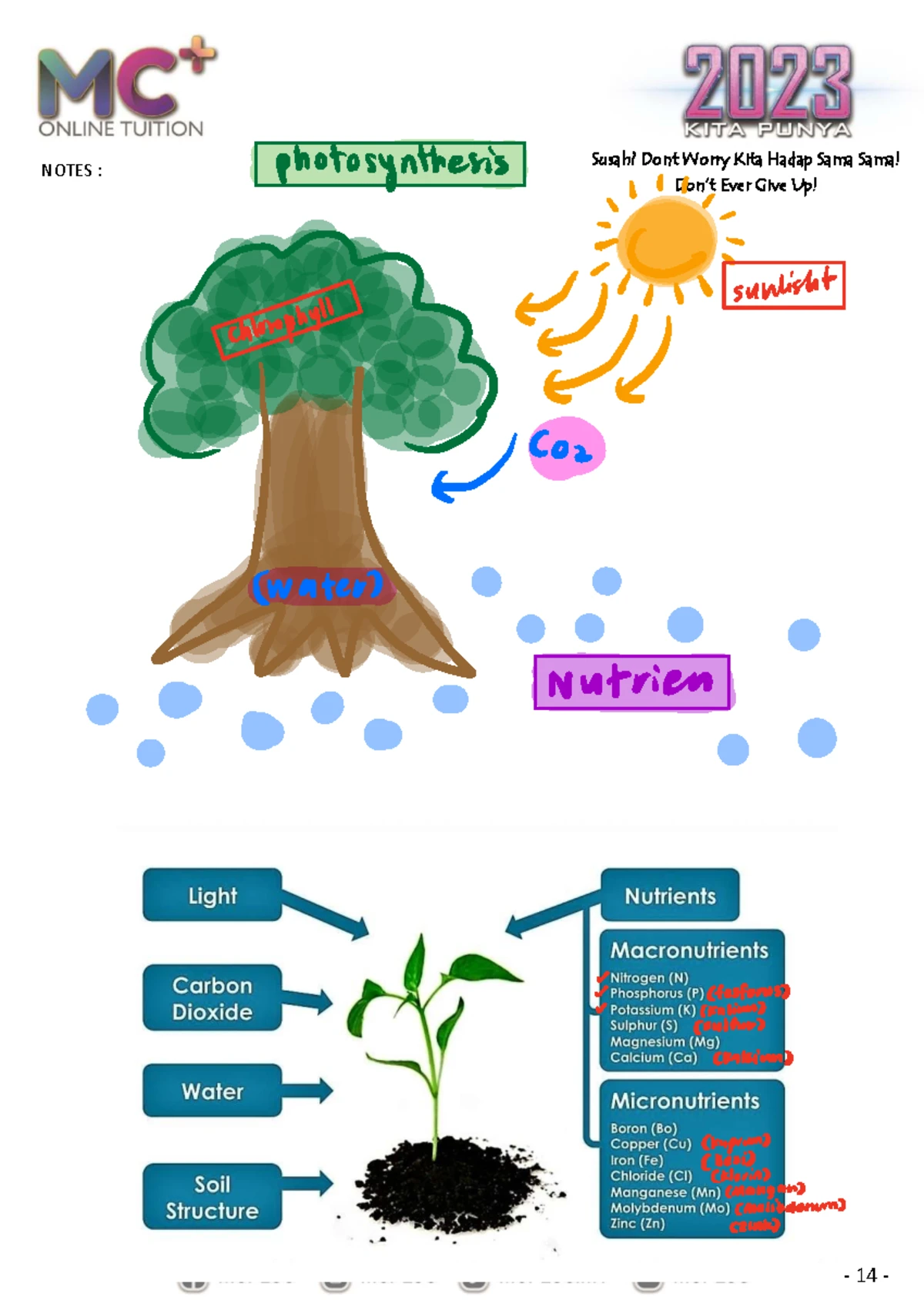 Form 5 Science Chapter 1: Microorganism Growth Factors and Experiments ...