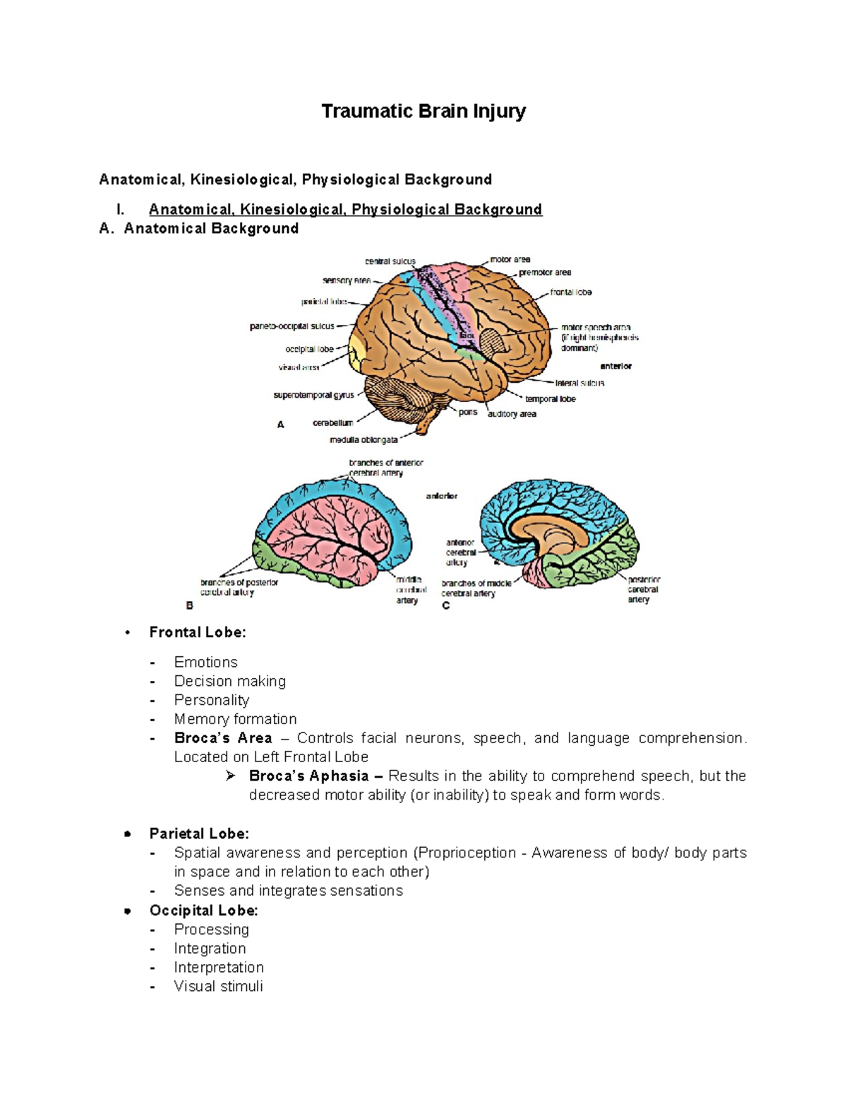 Traumatic Brain Injury: Anatomical, Kinesiological, and Physiological ...