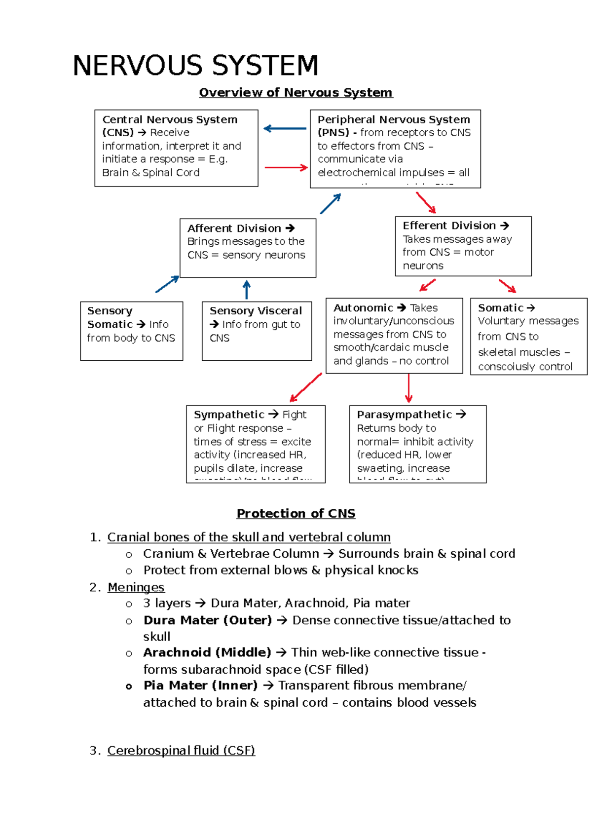Nervous System Overview: CNS, PNS, and Autonomic Functions - Studocu