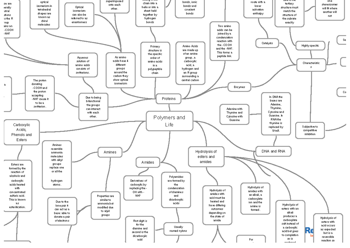 polymers-and-life-ocr-b-year-2-detailed-overview-of-biopolymers-studocu