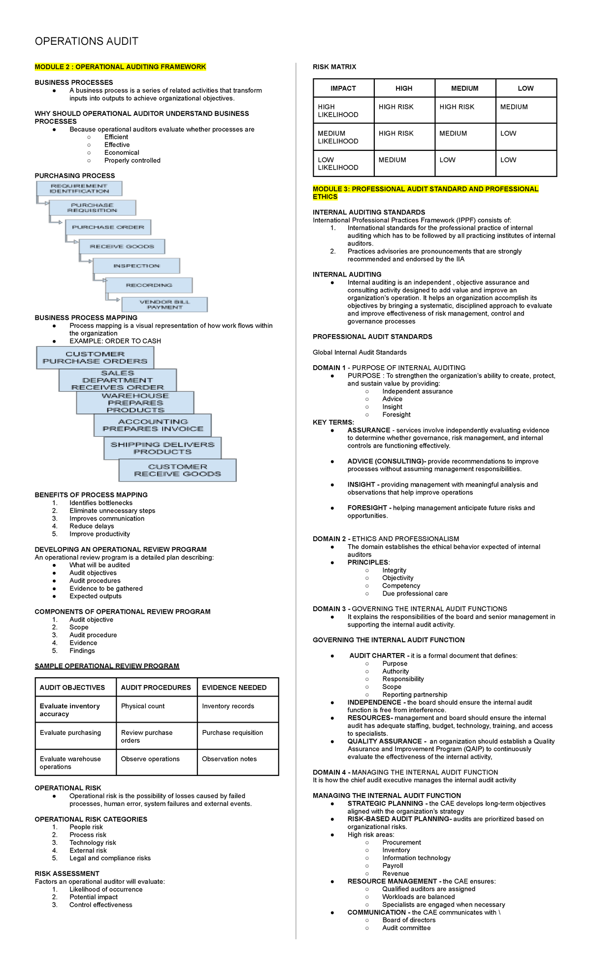 Operations Audit Modules 2 & 3: Framework & Professional Standards ...