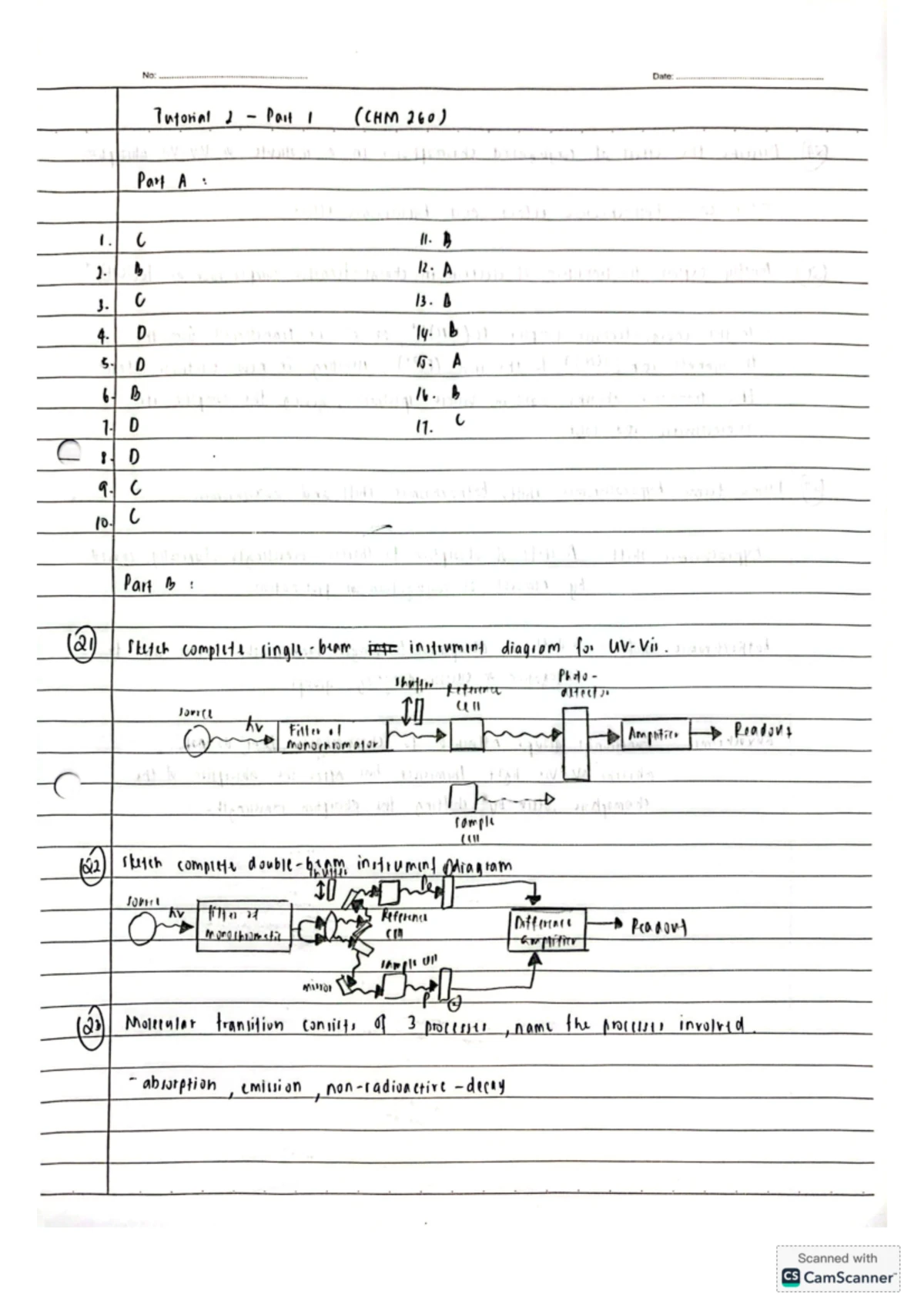 Tutorial 6 Answers & Key Concepts - Physics Course - Studocu