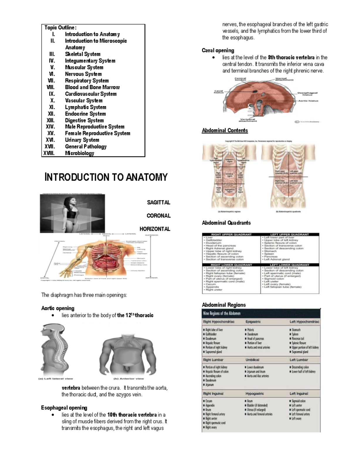 General Anatomy Overview: Nerves, Vessels, and Lymphatics - Studocu
