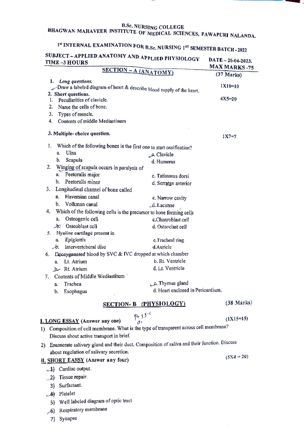 1st Internal Exam (1st Sem. Anatomy & Physiology) Notes - Studocu