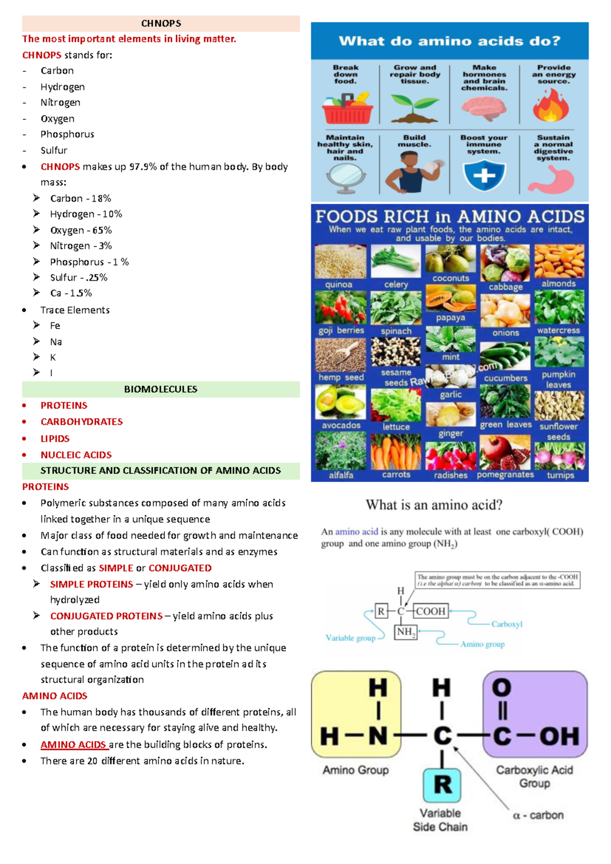 Biochemistry 2nd Long Exam Reviewer - The most important elements in ...