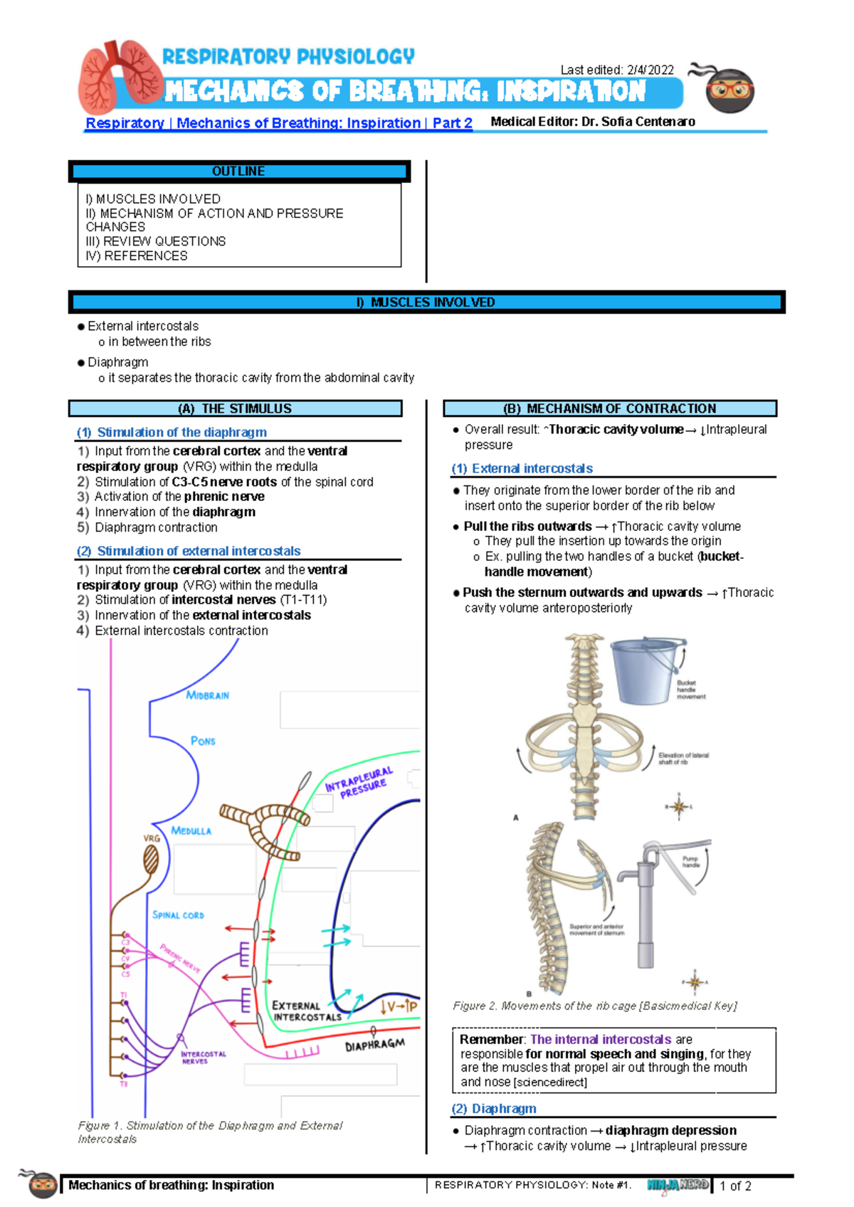 Mechanism of Breathing: Inspiration - RESP 101 Lecture Notes - Studocu