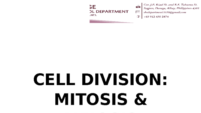 GEN BIO 1: Project on Cell Division - Mitosis & Meiosis - Studocu