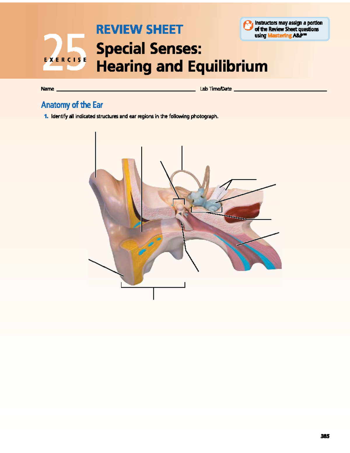 Lab 14 - Exercise 25 Review Sheet: Anatomy of the Ear - Studocu
