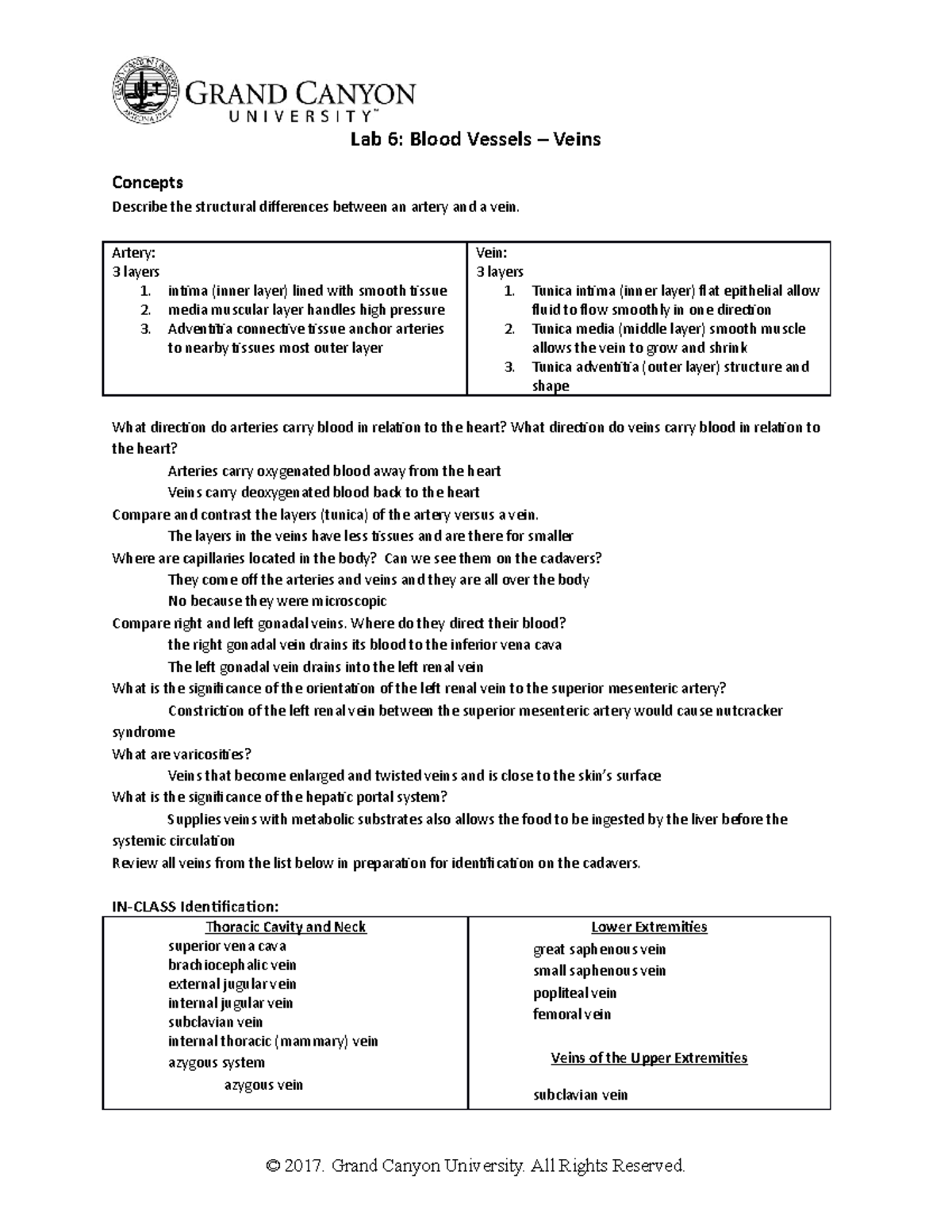 BIO 211L Lab 6: Blood Vessels - Veins & Arteries Comparison Notes - Studocu