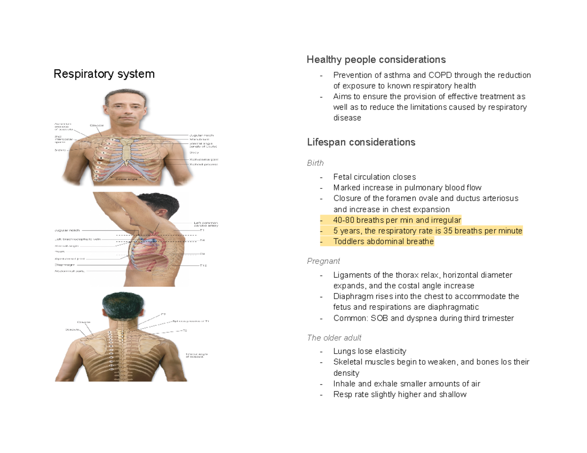190 Quiz 3 Study Guide: Key Concepts of Respiratory Health - Studocu
