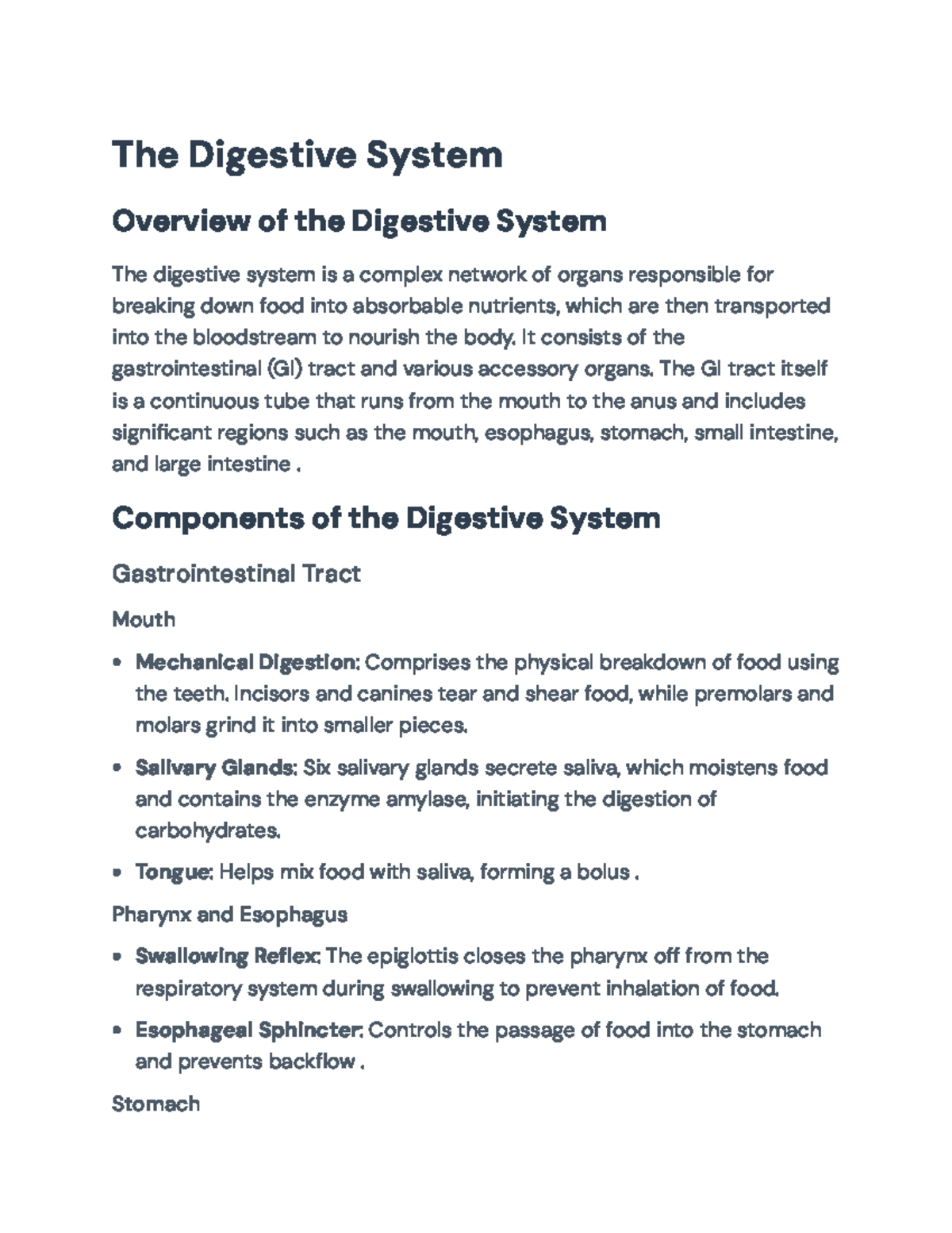 The Digestive System: Structure, Functions, and Digestive Processes ...