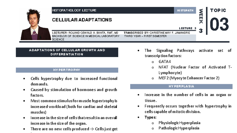 CELLULAR ADAPTATIONS LECTURE 3 - MEDICAL LAB SCIENCE - Studocu