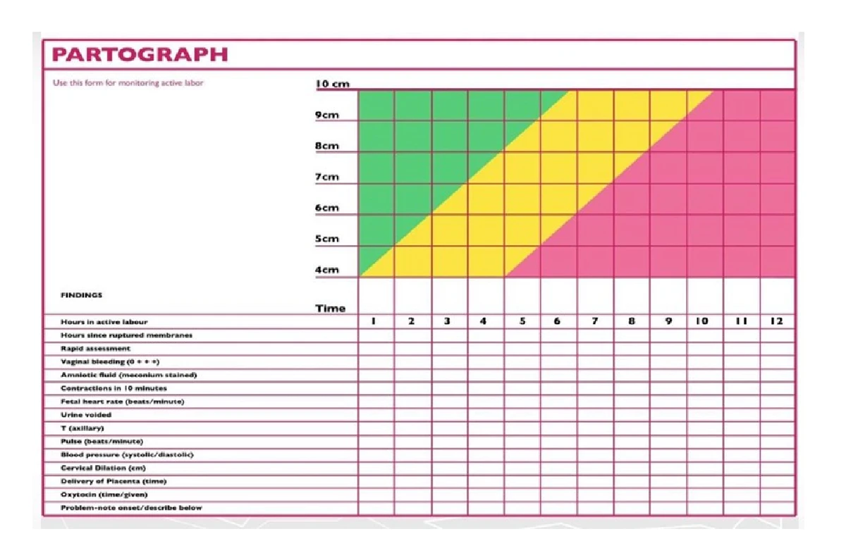 Daily Chores Guide: Tips & Schedule for Effective Management - Studocu