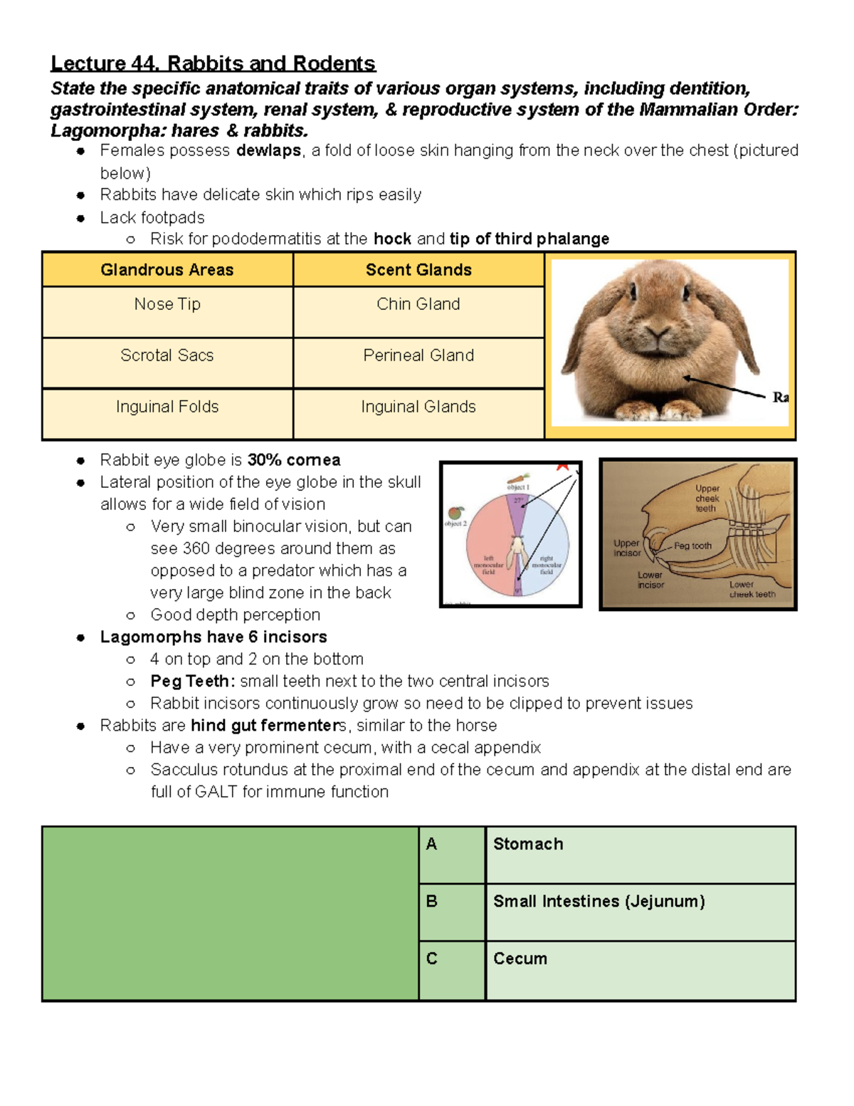 Lecture Notes for Exam 3: Lectures 44-46 on Rabbits, Rodents, and ...