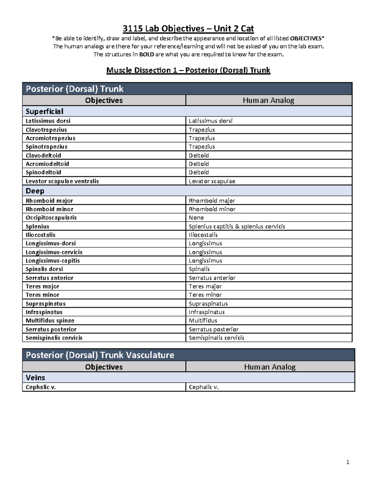 3115 Lab Cat Mucles (Unit 2) Objectives List - 3115 Lab Objec ves ...