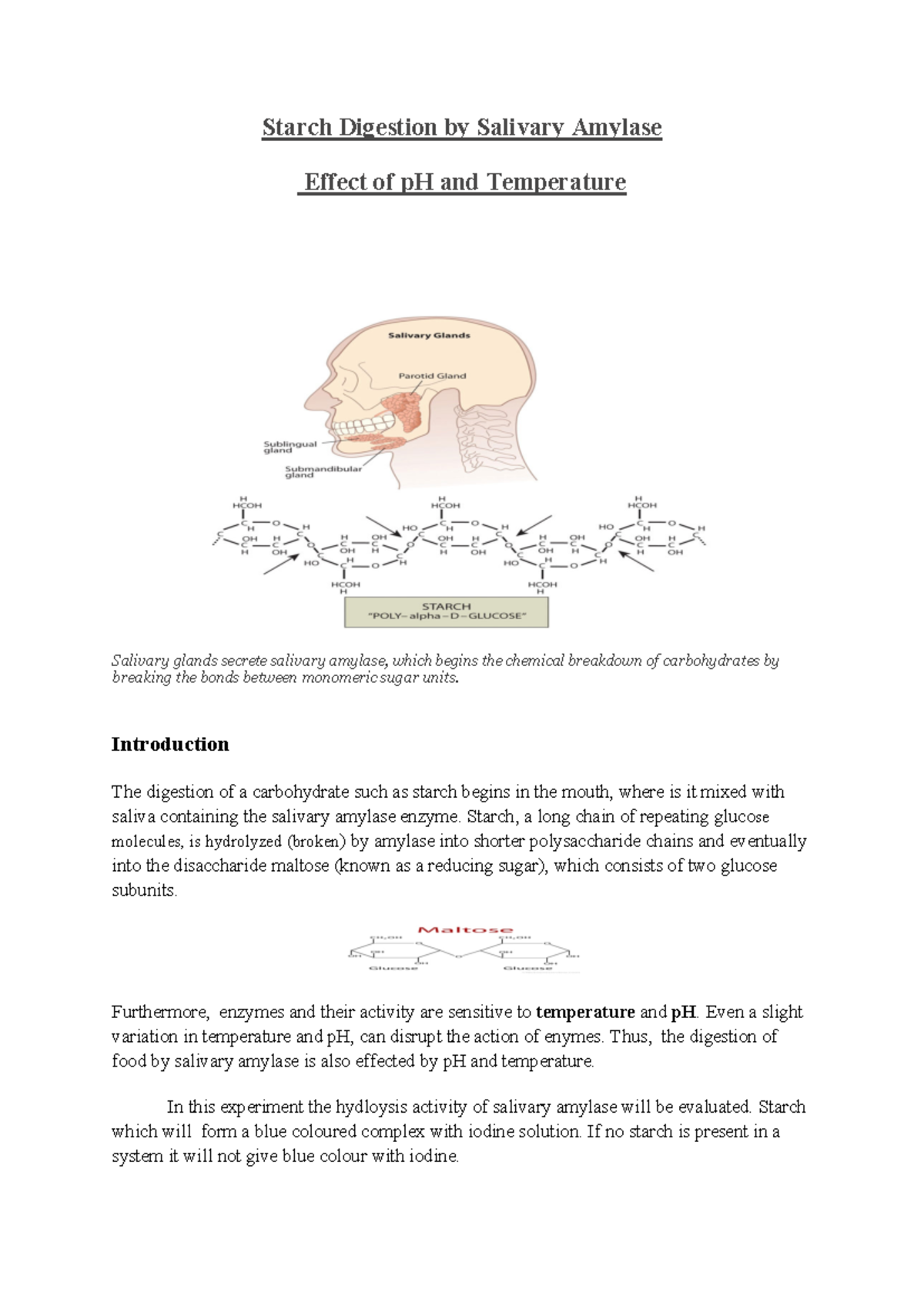 Starch Digestion Analysis via Salivary Amylase: pH & Temp Impact 2019 ...