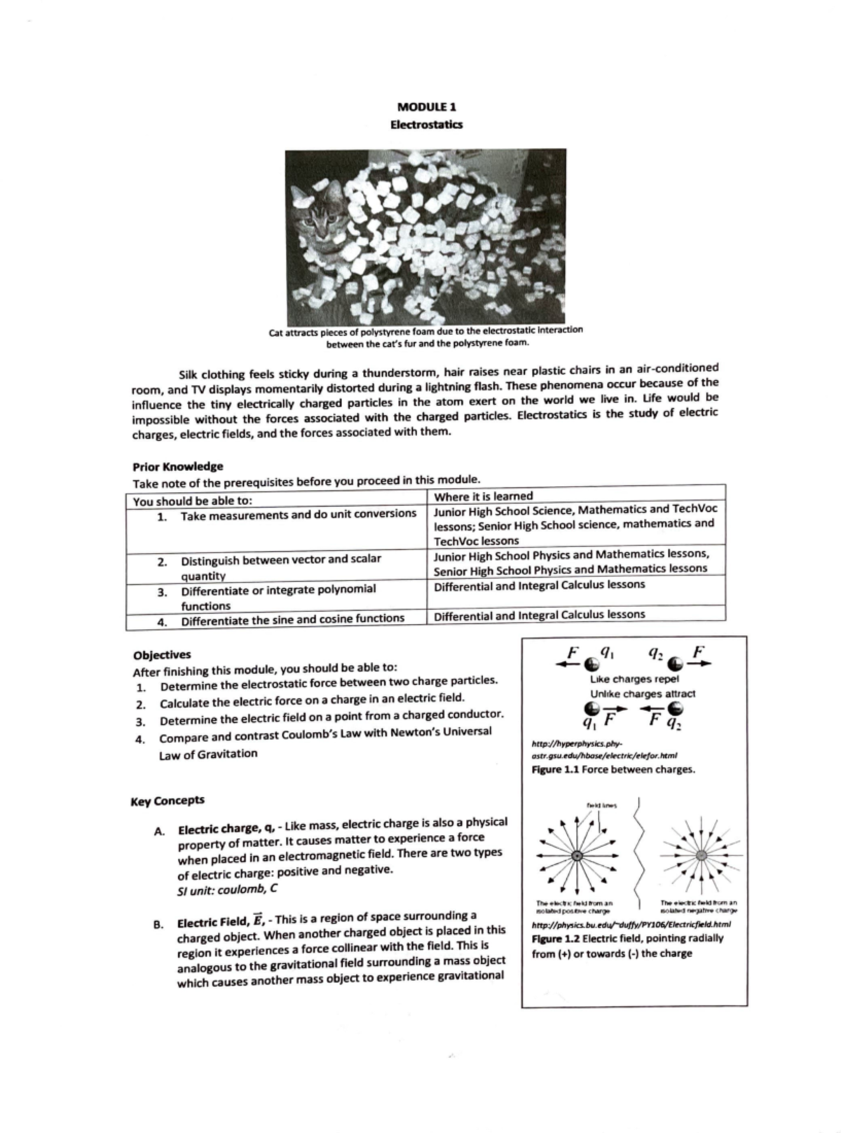 PHYS313-Module-01 - .... - MODULEl Electrostatics Cat attracts pieces ...