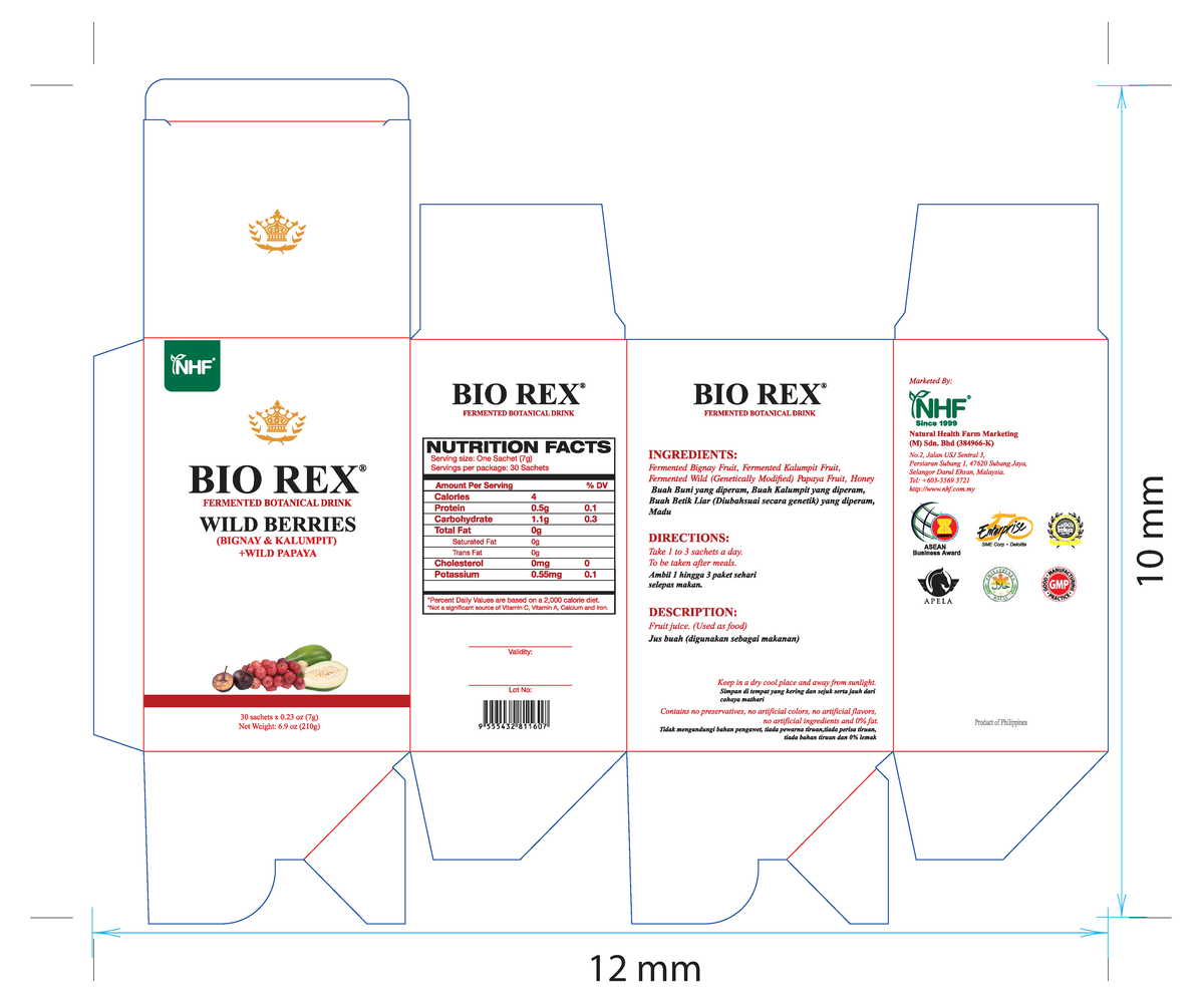 Bio Rex Fermented Botanical Drink: Wild Berries & Papaya (30 Sachets ...
