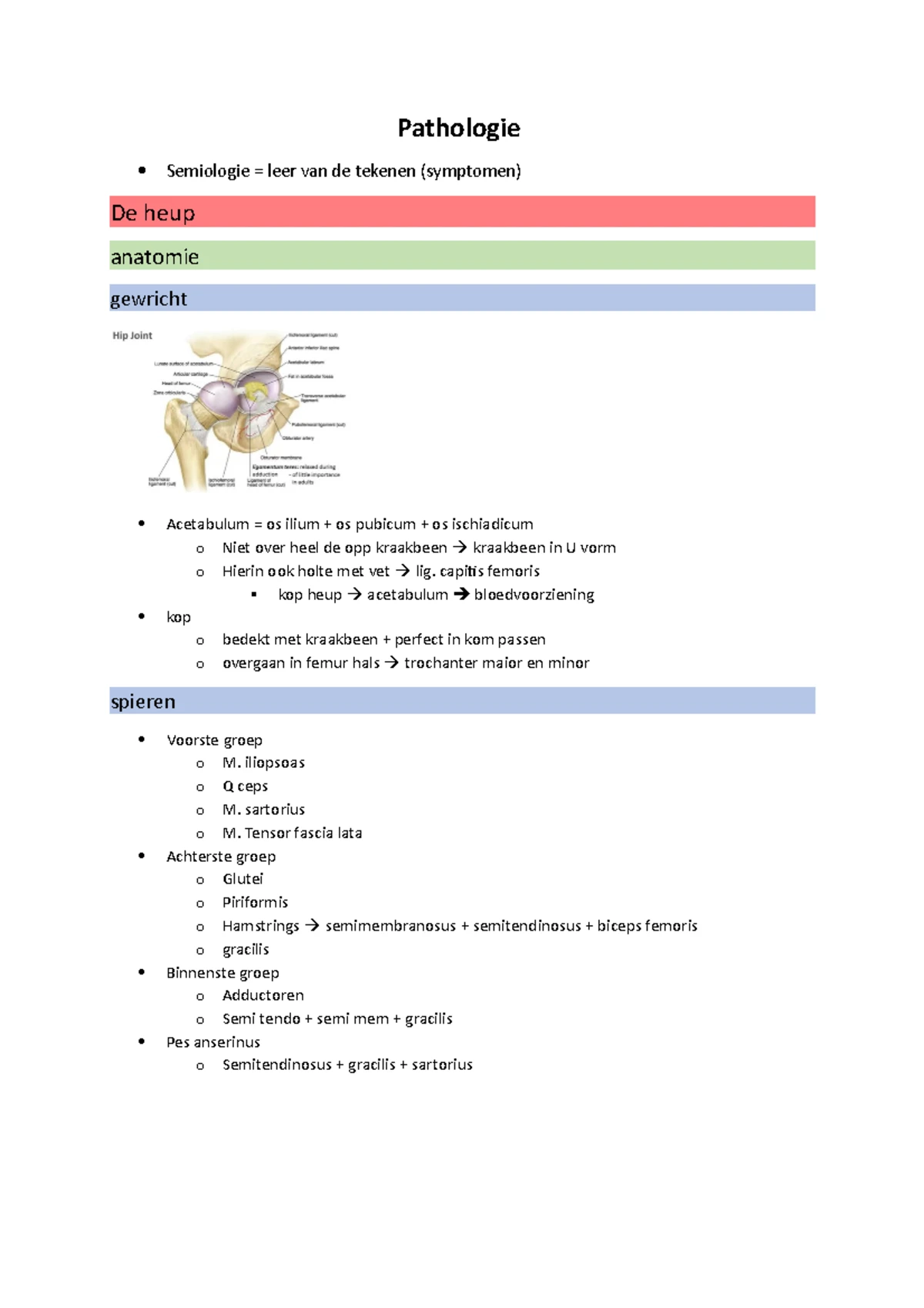 MSK 2 schema's knie - Overzichtelijke samenvatting van klinisch ...