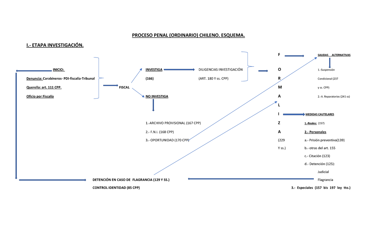 Esquema del Proceso Penal Ordinario Chileno (CPP) - Document Preview
