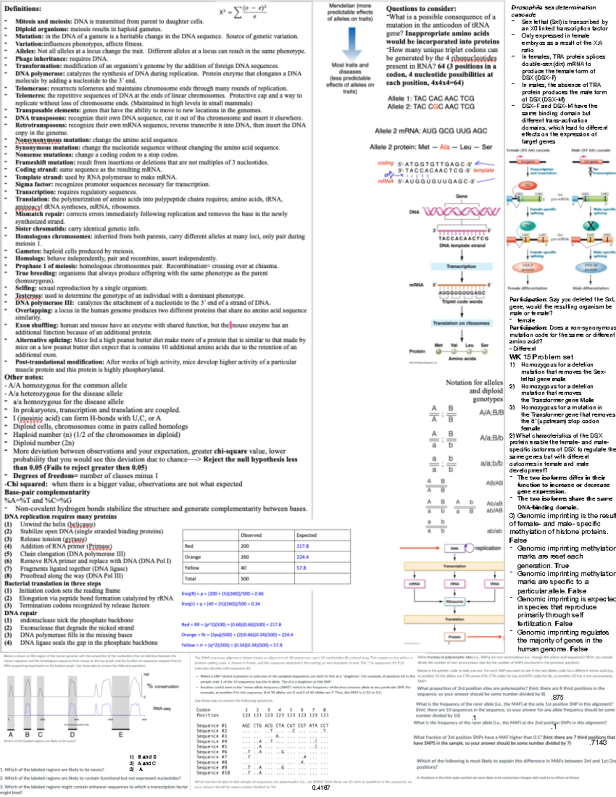 GEN 301 Final Exam Genetics Cheat Sheet and Key Concepts - Studocu