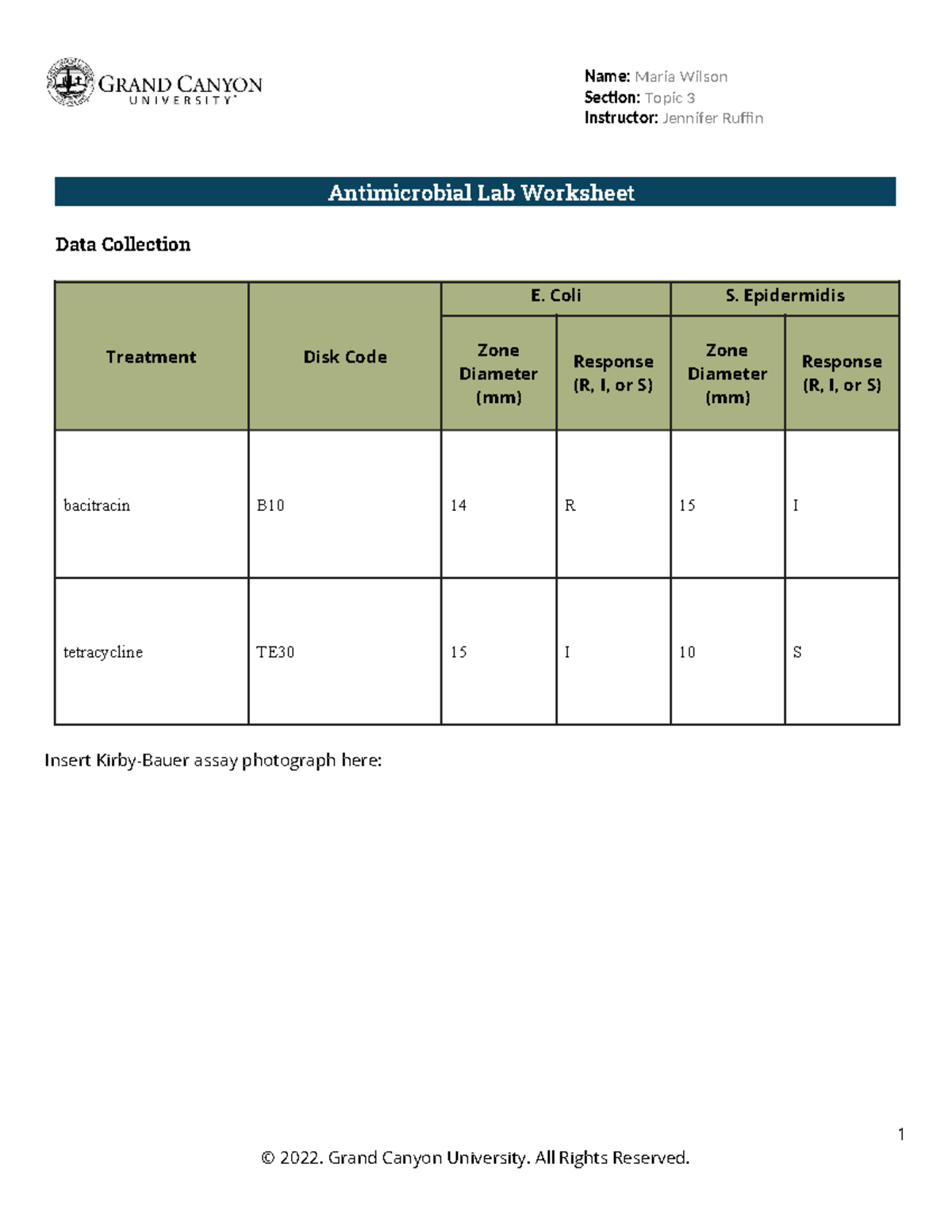 BIO-205L-RS-Lab11Antimicrobial Lab Worksheet- Online- Tradonline - BIO ...