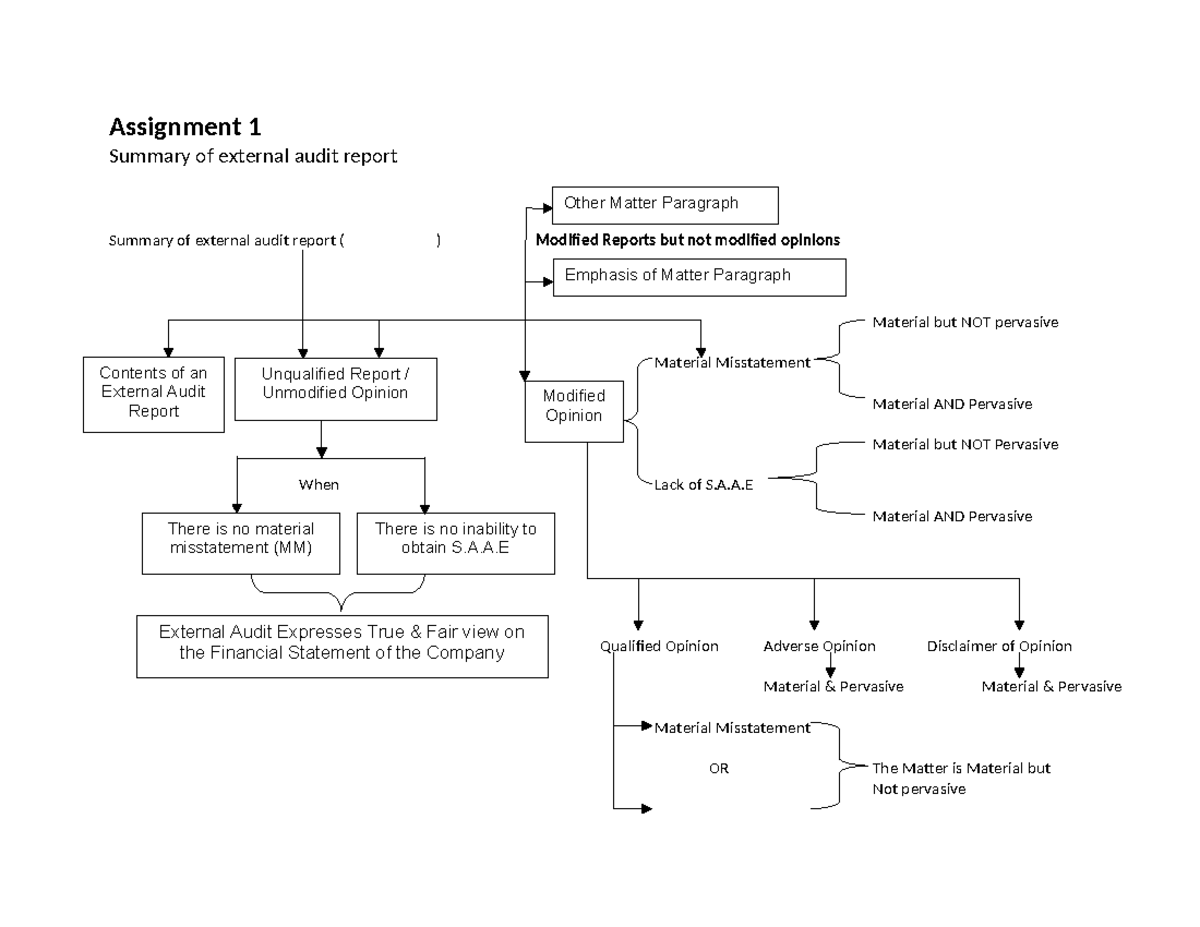 Assignment 1: Summary of External Audit Report & Key Issues (AR ...