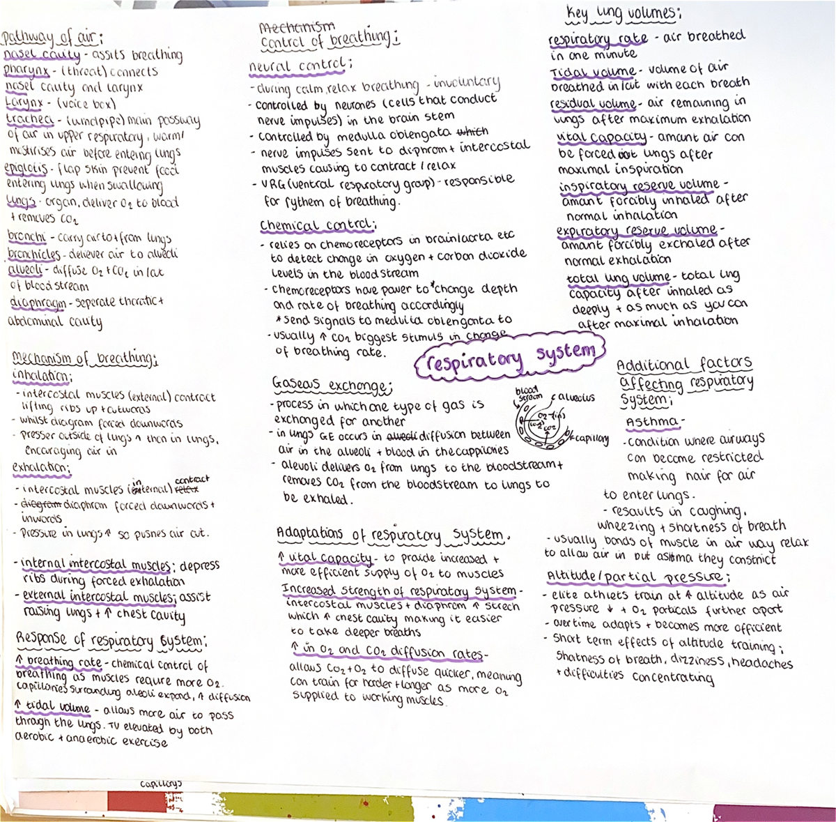 Mind Map Techniques for Effective Learning Strategies - Studocu