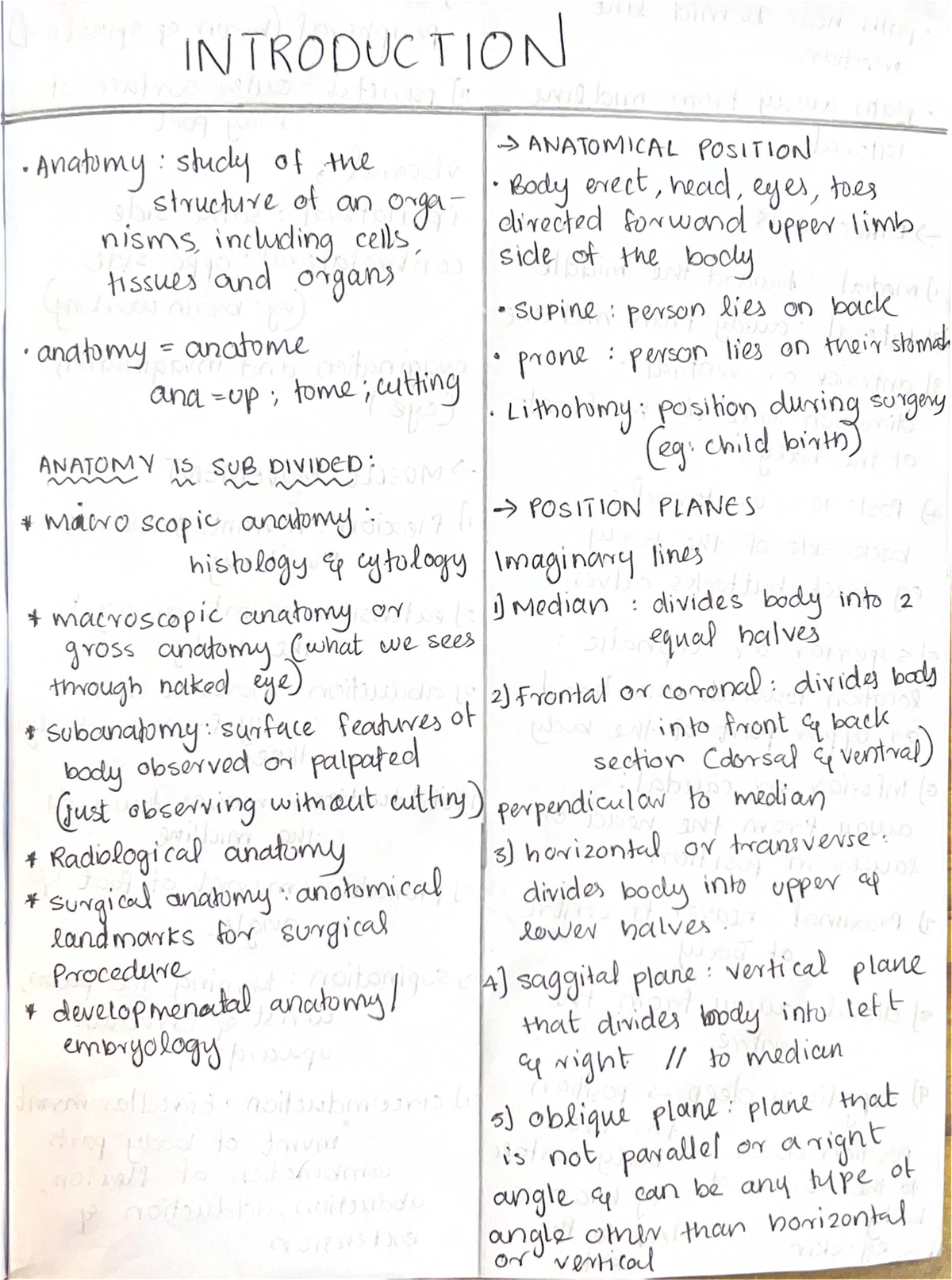 Anatomical Position Study Notes: Anatomy 101 - Introduction 2 - Studocu
