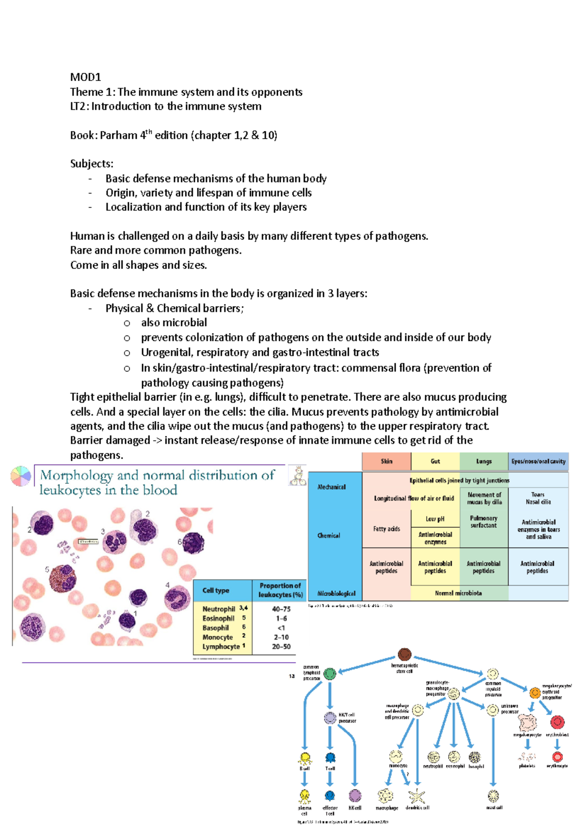 MOD1 Theme 1: The Immune System and Adaptive Responses - Lecture Notes ...