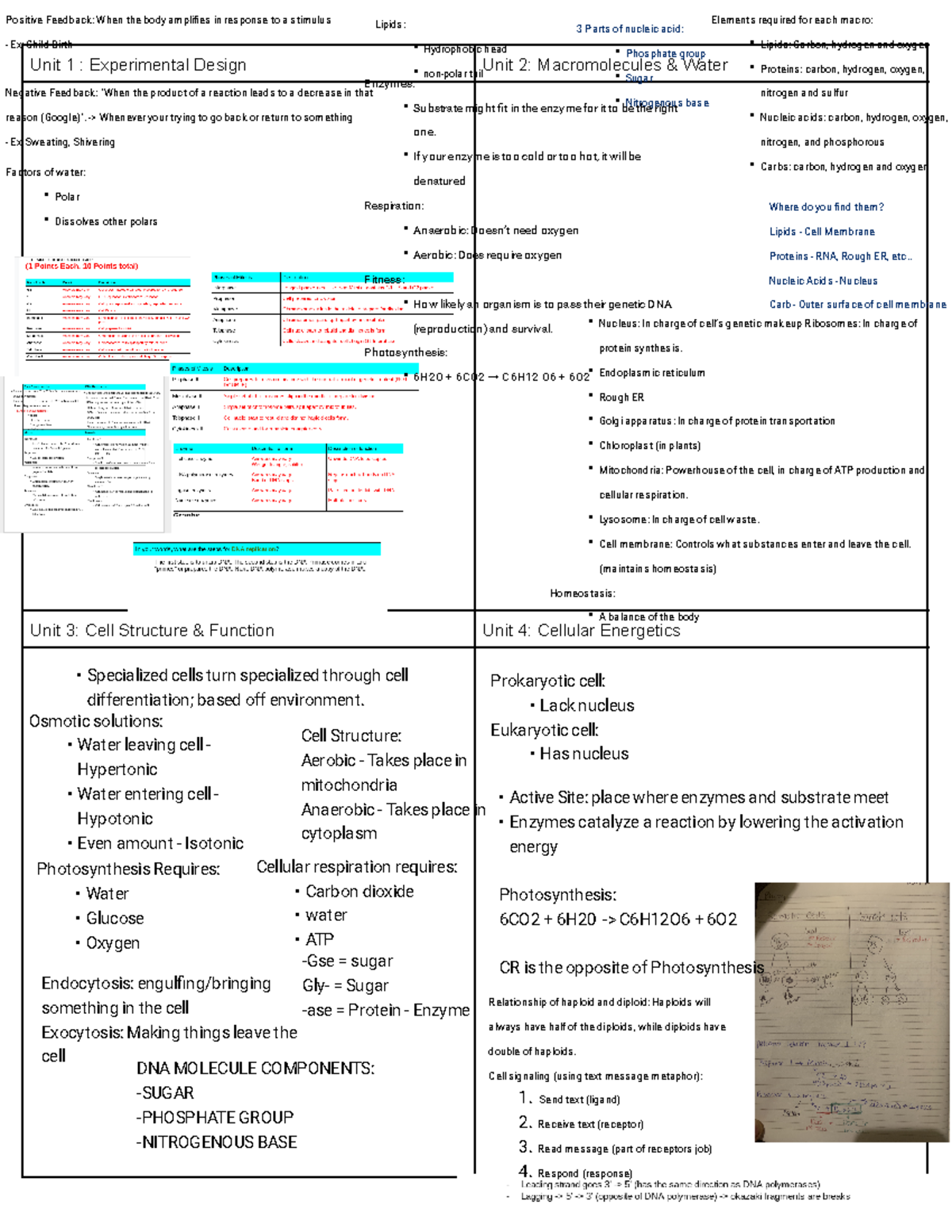 Kami Export - Units 1-4 Study Guide on Experimental Design & Biology ...