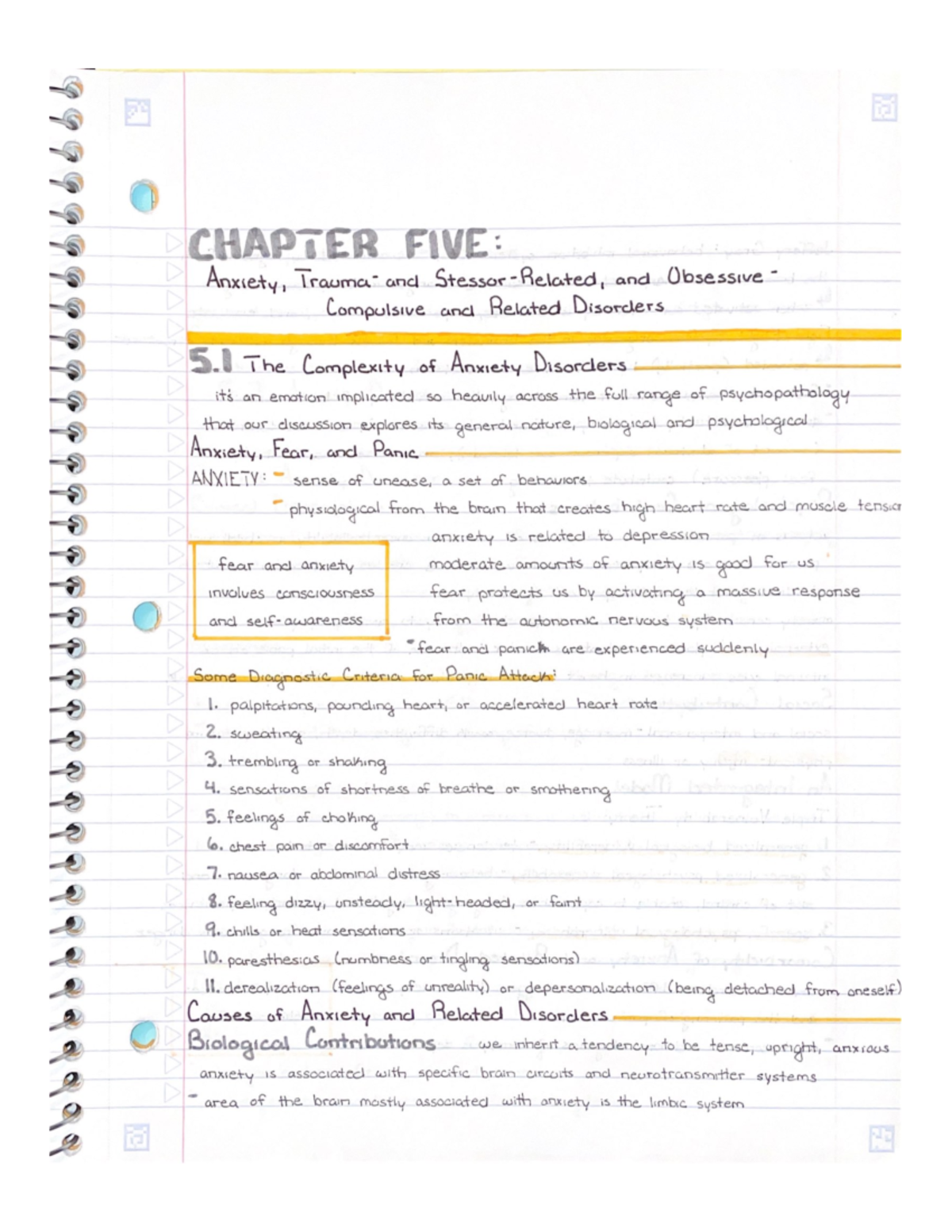 Chapter 5 Notes: Anxiety, OCD, and Related Disorders Overview - Studocu