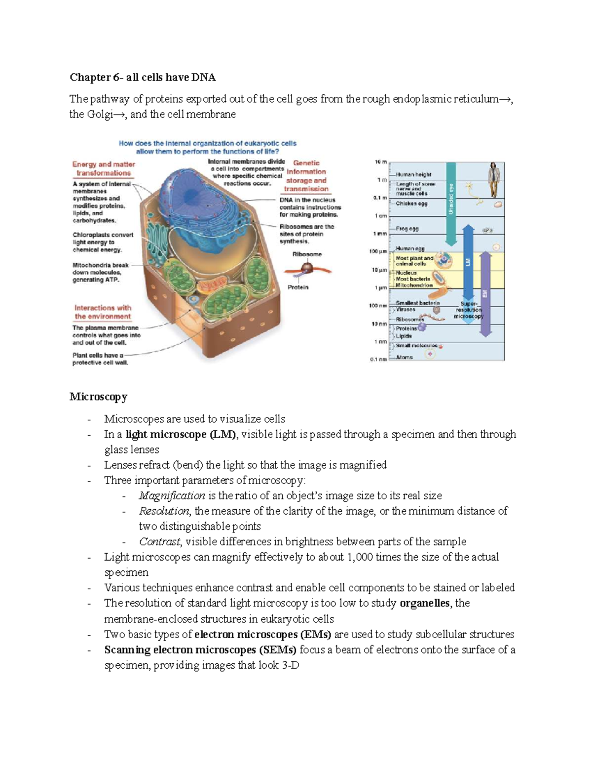 Bio 101 Lecture Notes: Chapters 6-10 - Cell Structure & Function - Studocu
