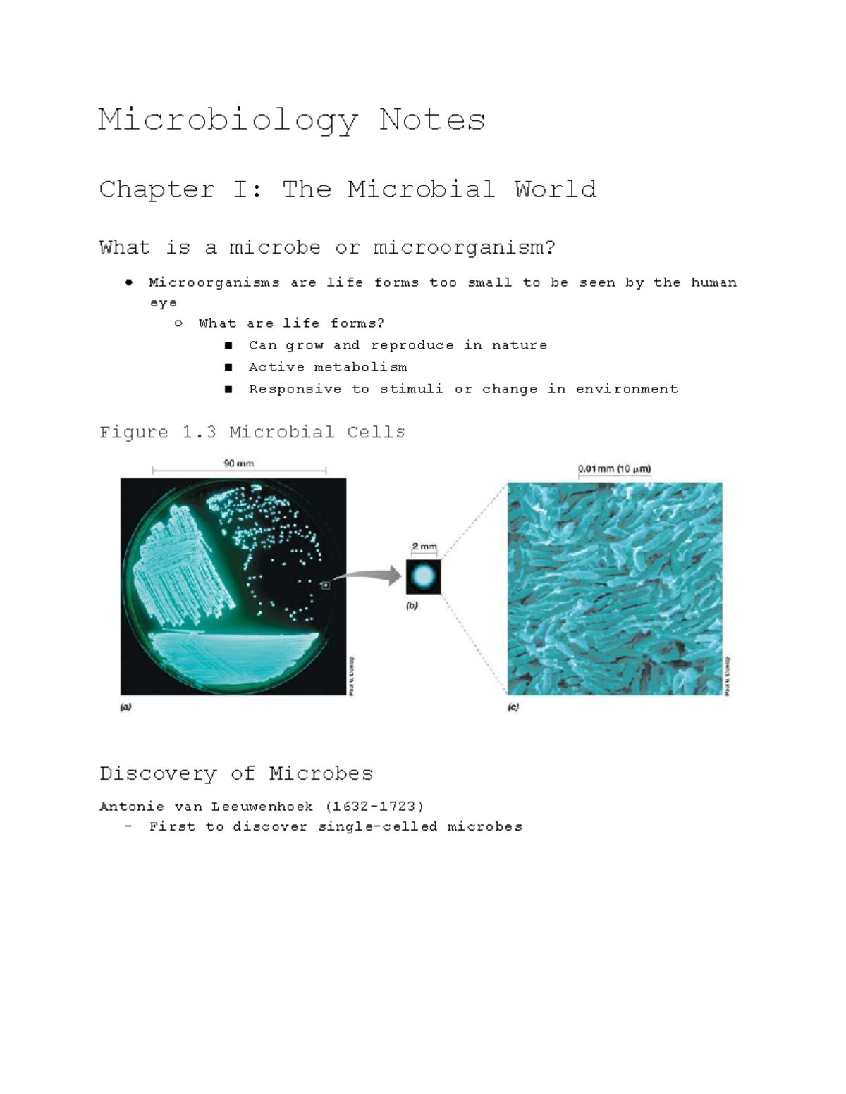 Microbiology Course Notes: Insights on Microbial Growth and Diversity ...