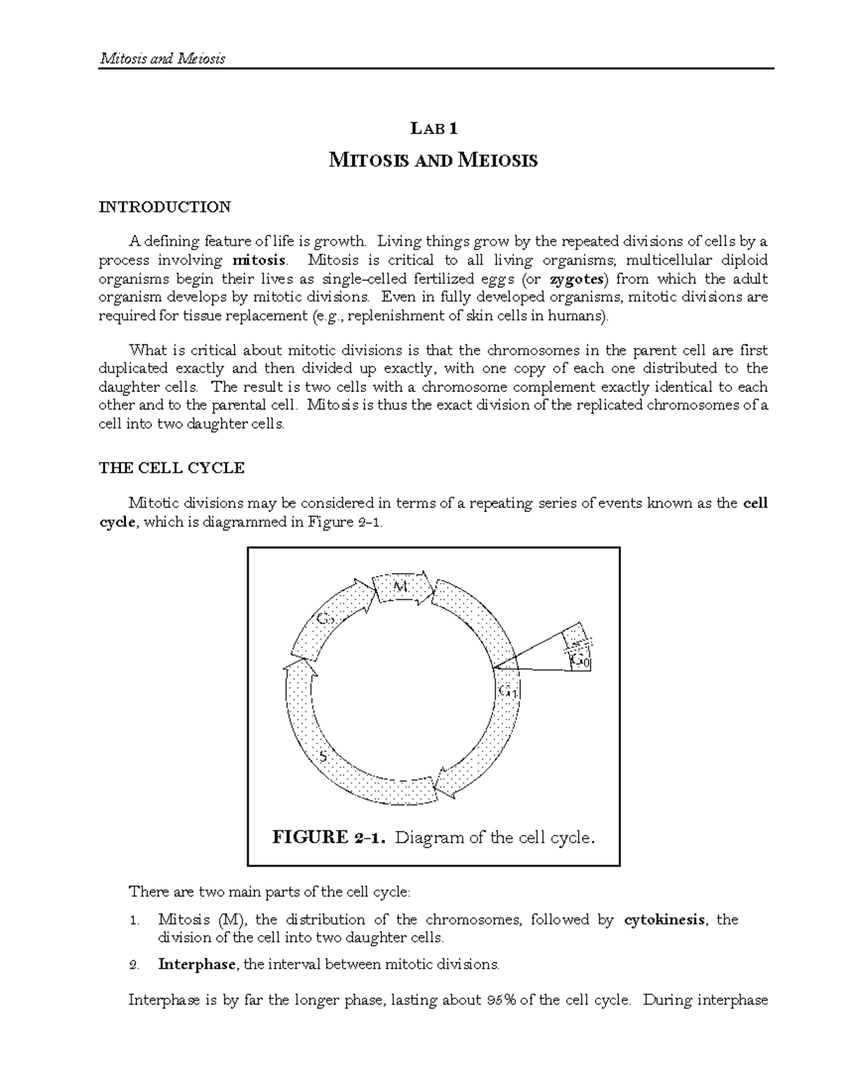 Lab 1: Understanding Mitosis and Meiosis Processes - Studocu