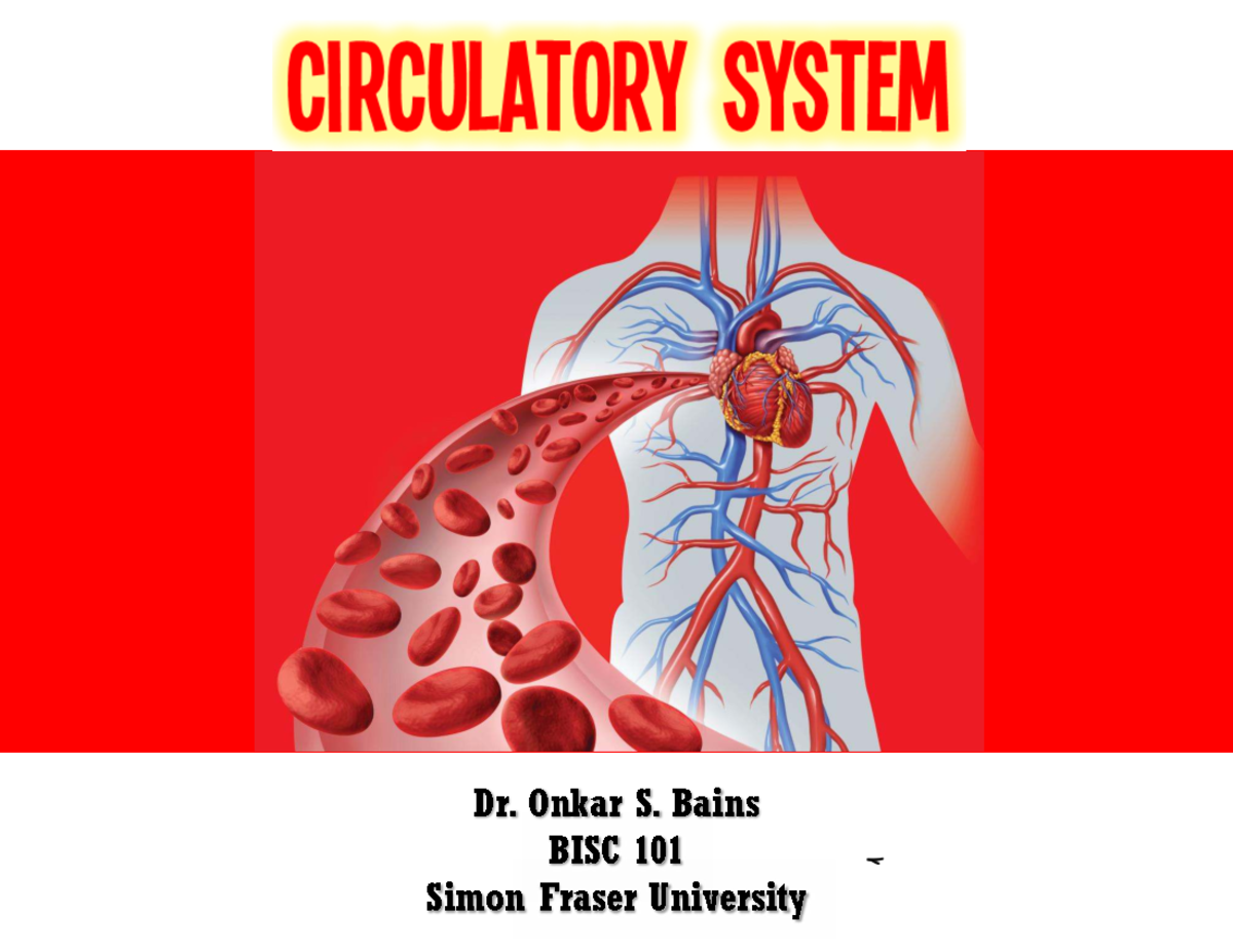 BISC 101 - Circulatory System - Part 1 - Student COPY - Spring 2025 ...