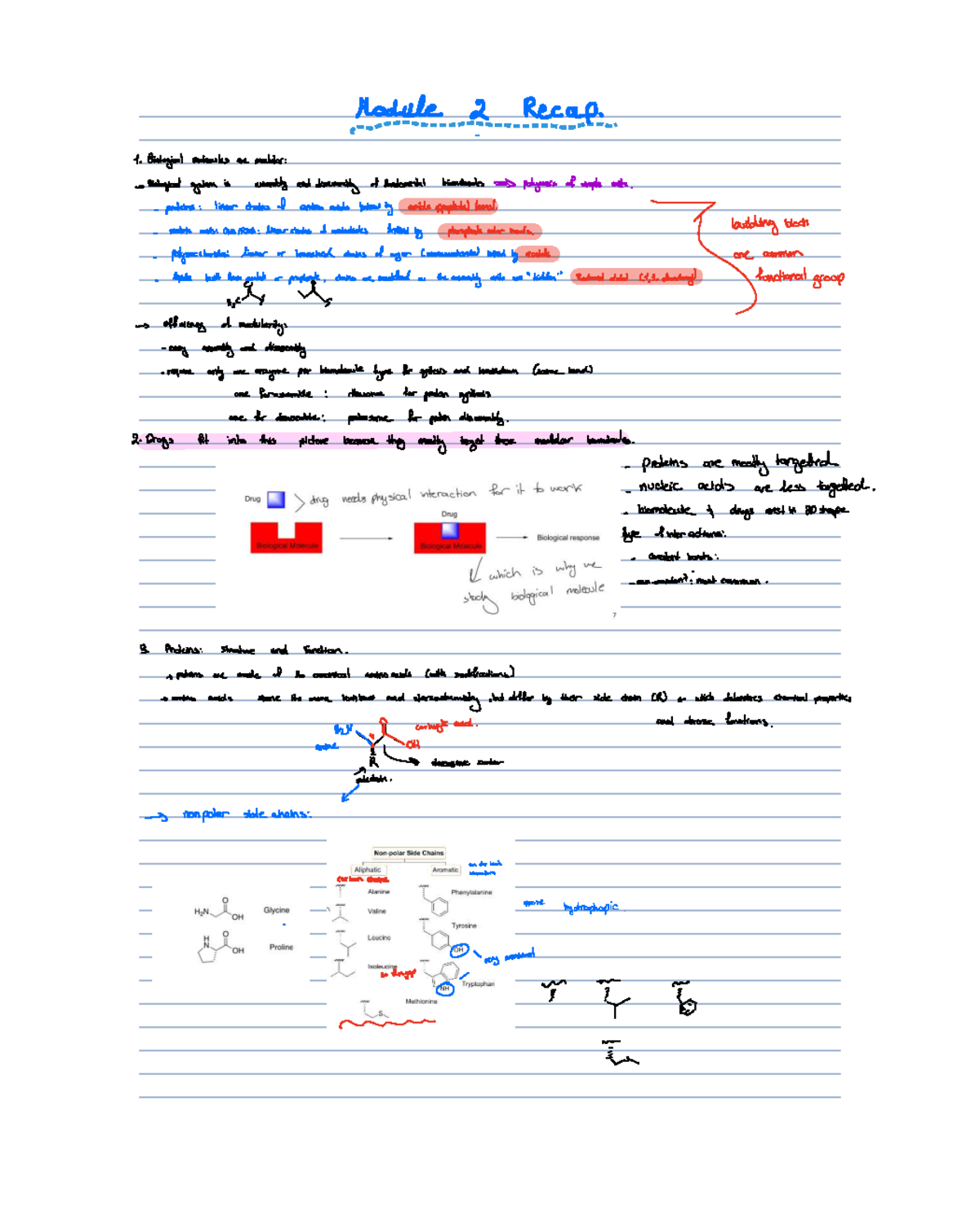 Module 2 Notes: Biological Molecules and Protein Assembly - Studocu