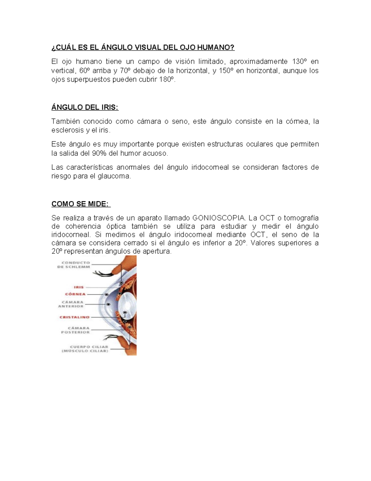 Ángulos básicos del ojo humano: visión y medidas ópticas - Studocu